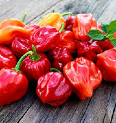 Habanero Pepper - 1kg