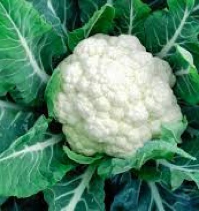 Cauliflower - 1kg