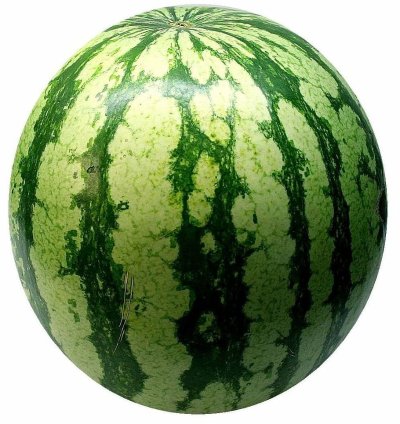 Medium sized Watermelon